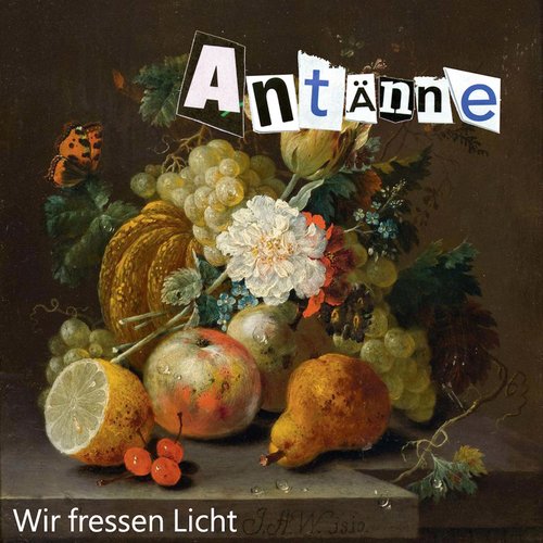 Wir fressen Licht