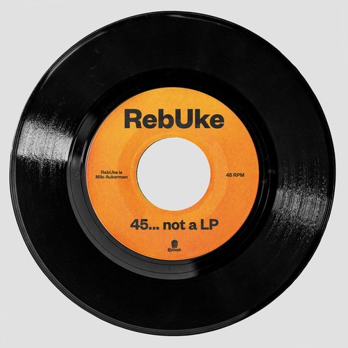 45... Not a LP - Single