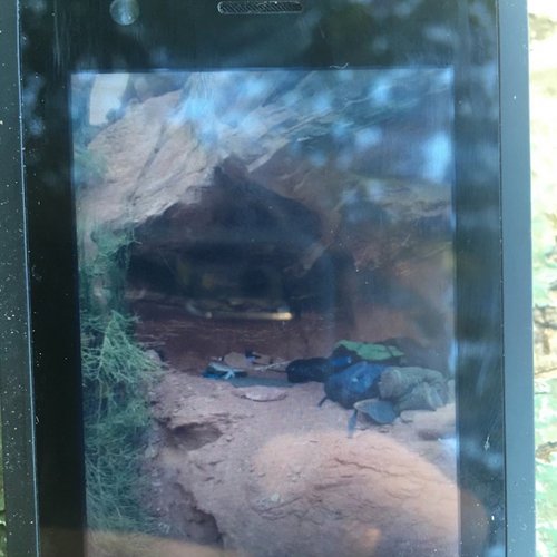 ...spent the last few years living in a fucking cave