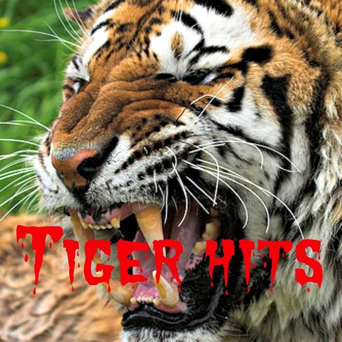 Tiger Hits (The Impossible Compilation)