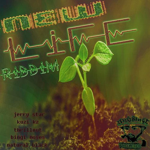 New Life Riddim