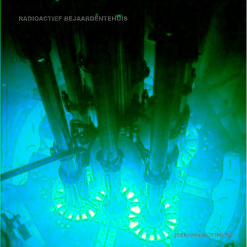 Kernreactor EP