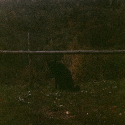 Room No. 5 in four parts