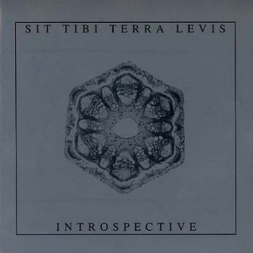 Sit Tibi Terra Levis / Introspective