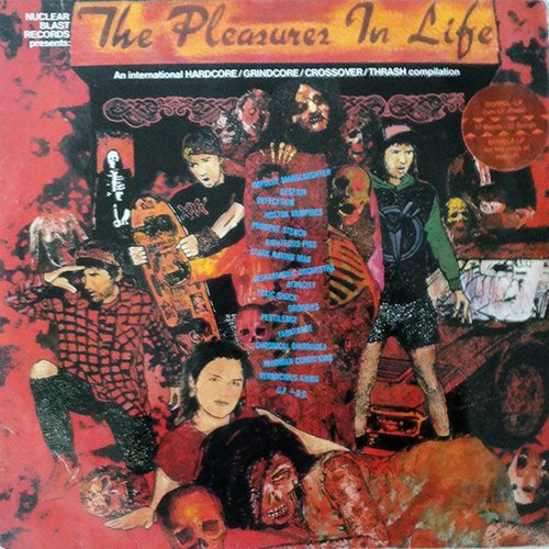 The Pleasures In Life