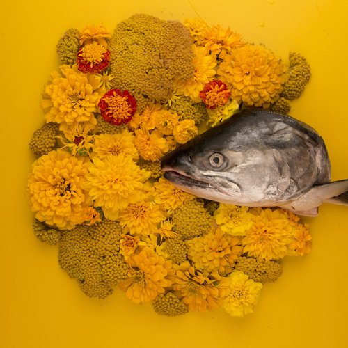 Fish Eyes EP