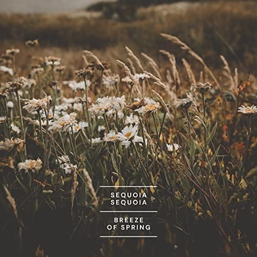 Breeze of Spring