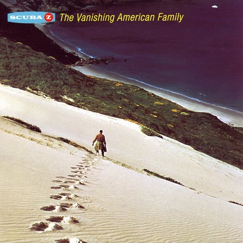 The Vanishing American Family