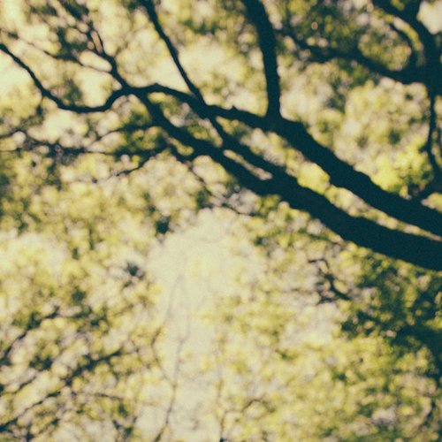 Level Four - Single