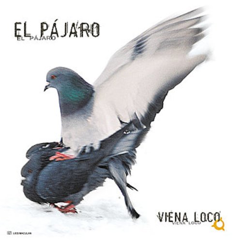 El Pajaro