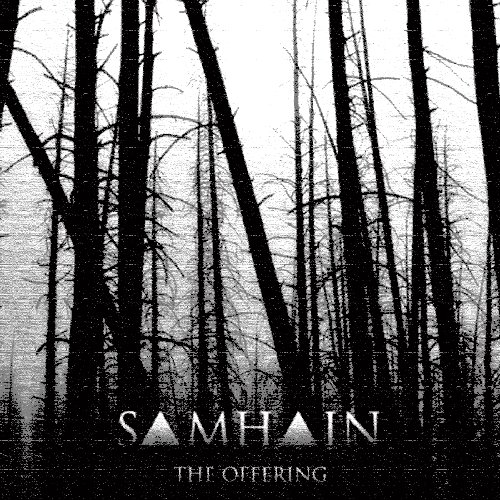 THE OFFERING