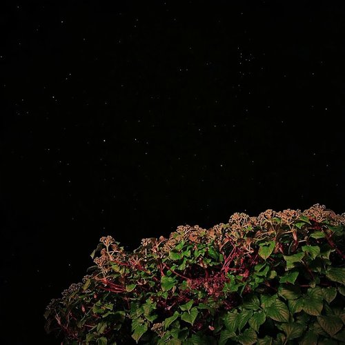 Tape_01
