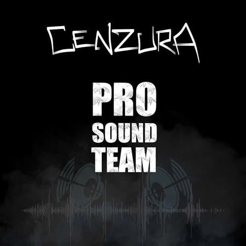 Pro Sound Team