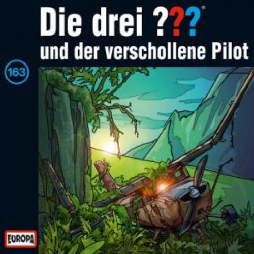 163/und der verschollene Pilot