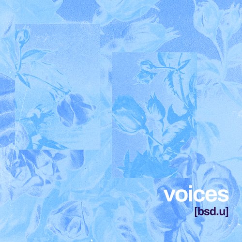 voices - Single