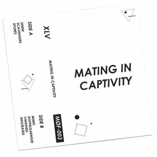 Mating In Captivity