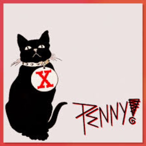 cat allergy