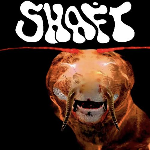 just the shaft... [Explicit]