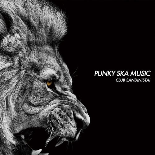 PUNKY SKA MUSIC