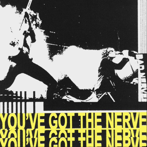 You've Got The Nerve