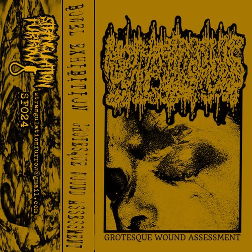 Grotesque Wound Assessment