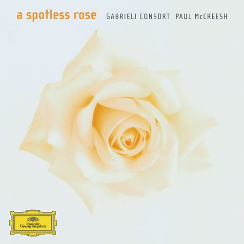 A Spotless Rose