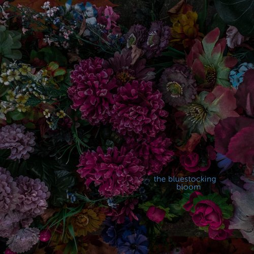 Bloom