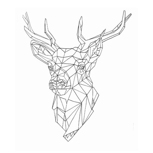 the elks