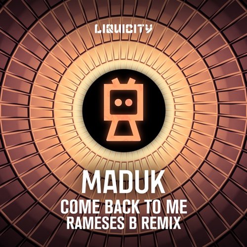 Come Back To Me (Rameses B Remix)