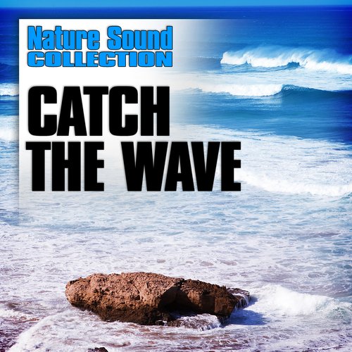 Catch the Wave (Nature Sounds)