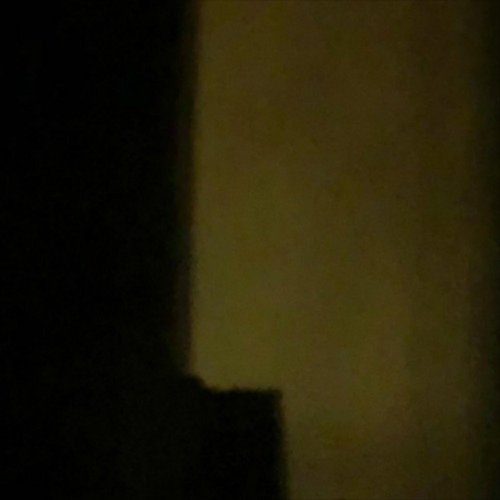 Show - Single