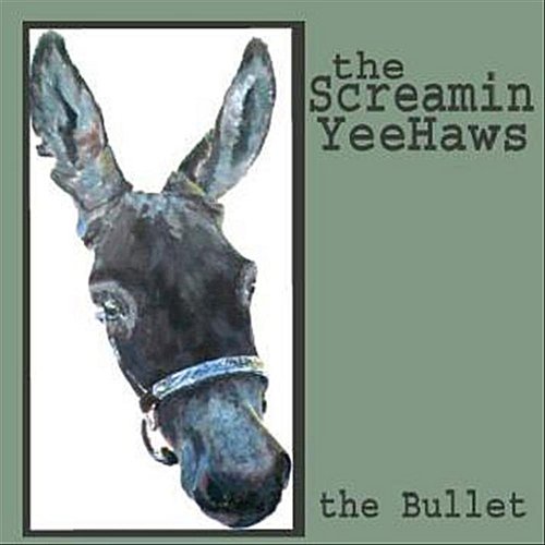 The Bullet
