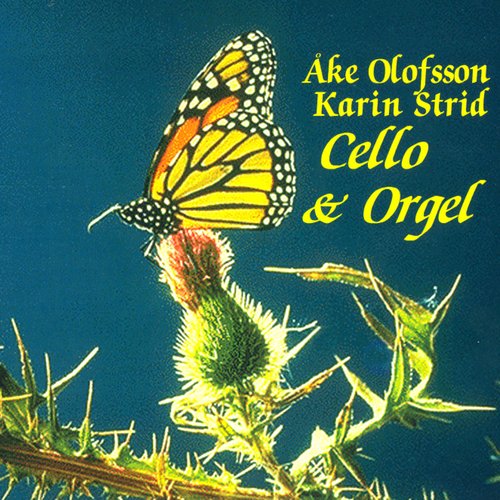 Cello & Orgel
