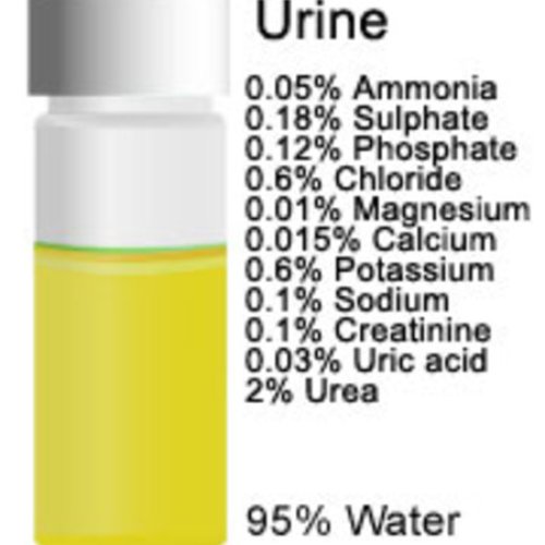 Hot Urine