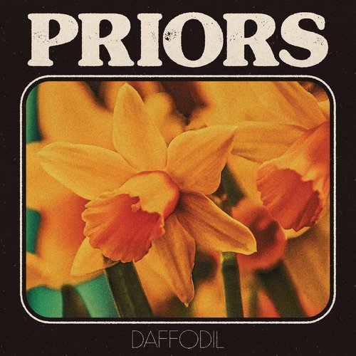 Daffodil - Single