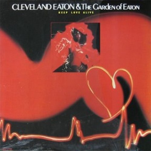 Keep Love Alive