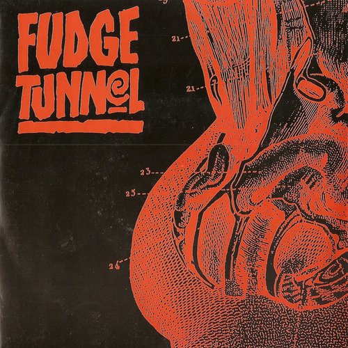 Fudge Tunnel