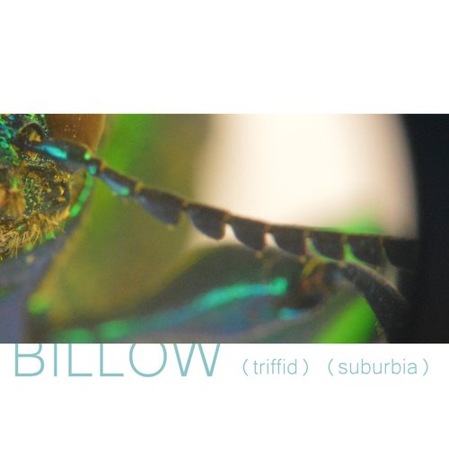 Triffid / Suburbia - Single