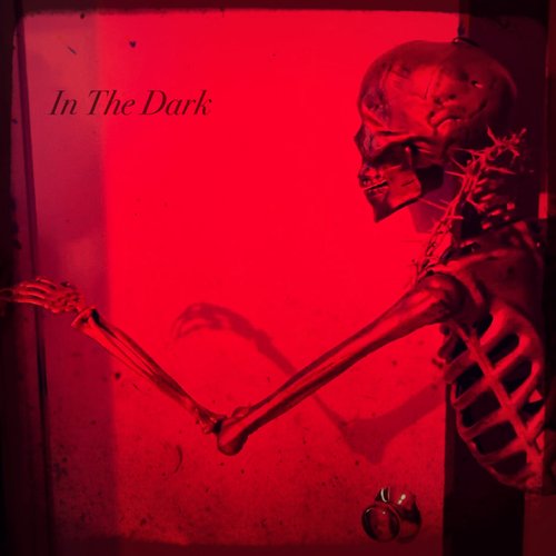 In The Dark