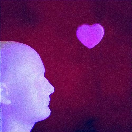 Stay (Why Won't You?)