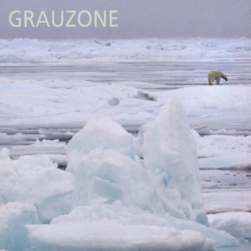 Grauzone 1980-1982