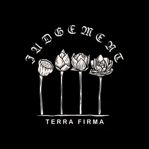 Terra Firma - Single