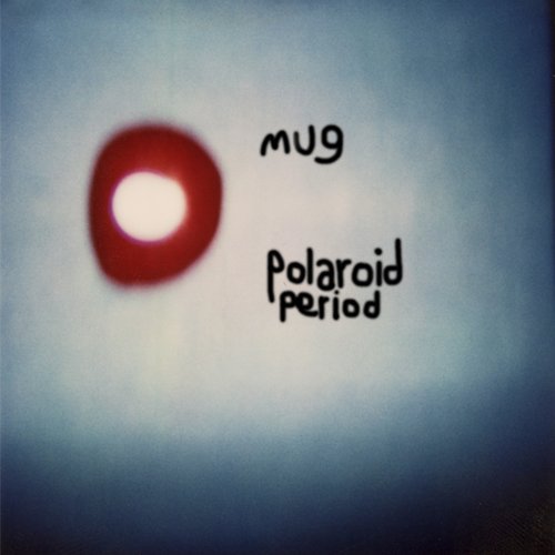 polaroid period