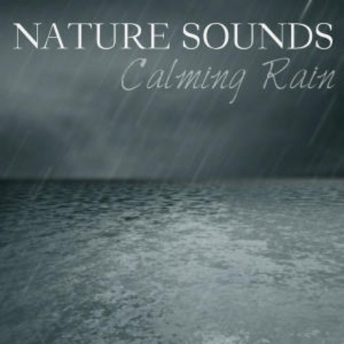 Calming Rain : Nature Sounds