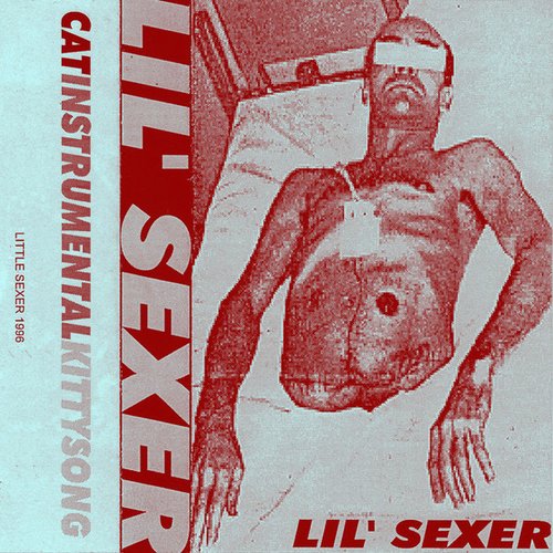 1995 (Hemicorporectomy Cassette)