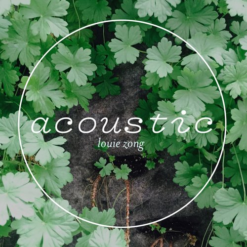 Acoustic - EP