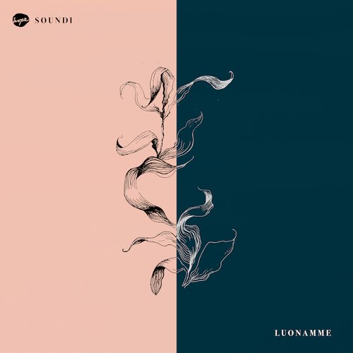 Luonamme