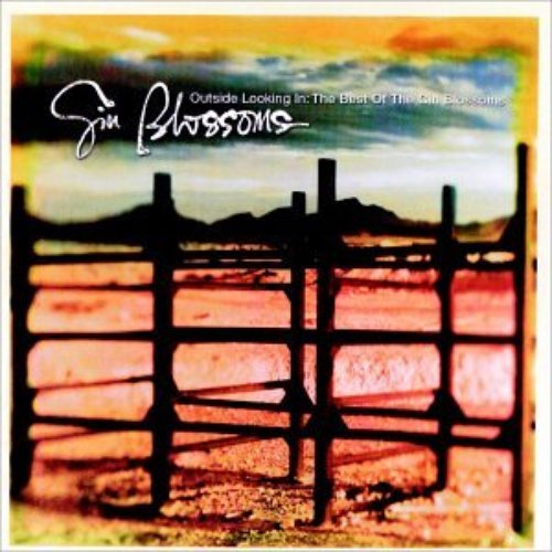 Outside Looking In: The Best of Gin Blossoms