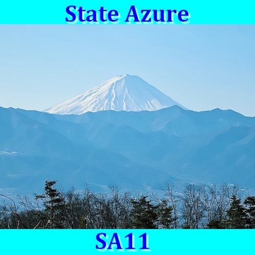 SA11