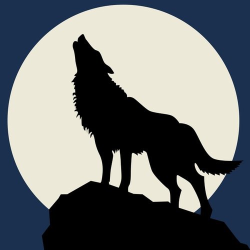 Howling at The moon
